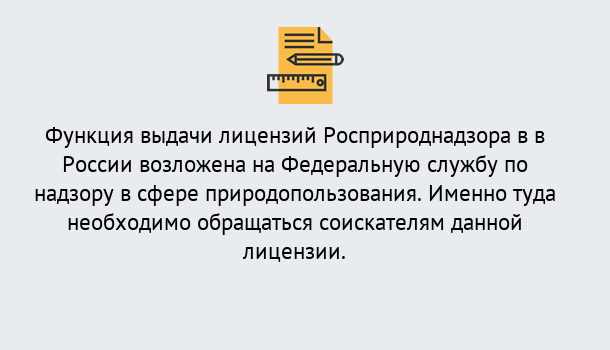 Почему нужно обратиться к нам? Соликамск Лицензия Росприроднадзора. Под ключ! в Соликамск