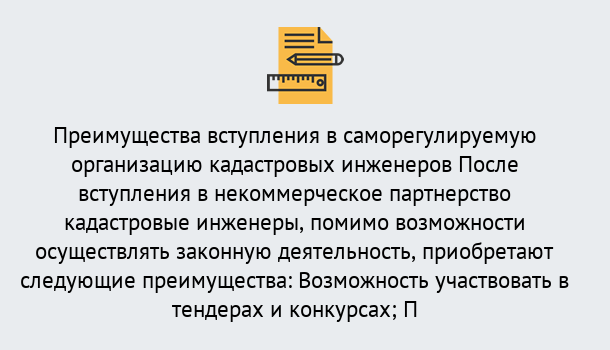 Почему нужно обратиться к нам? Соликамск Что дает допуск СРО кадастровых инженеров?