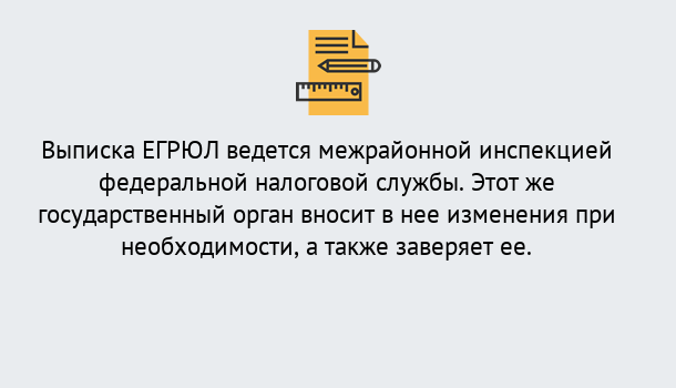 Почему нужно обратиться к нам? Соликамск Выписка ЕГРЮЛ в Соликамск ?