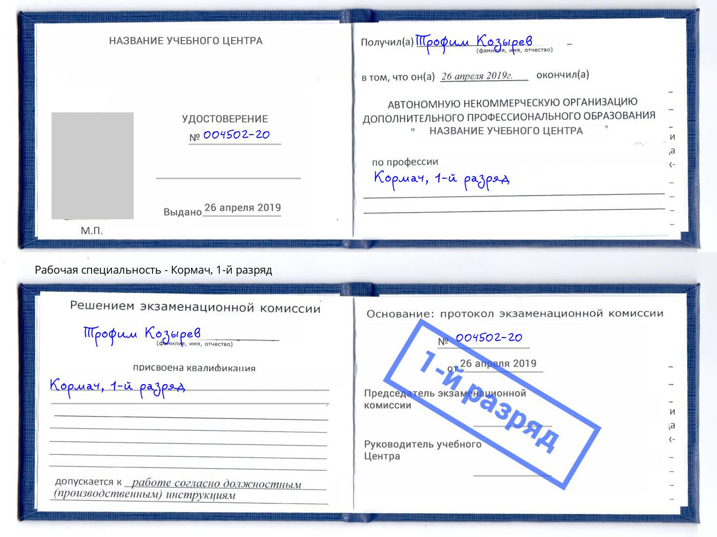 корочка 1-й разряд Кормач Соликамск